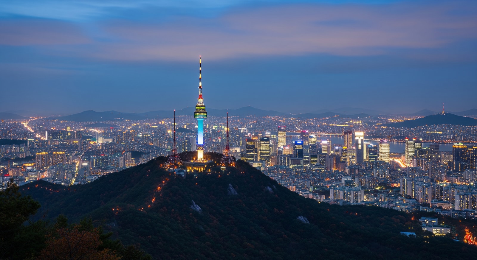 Seoul Tower and city lights at night from Namsan Mountain