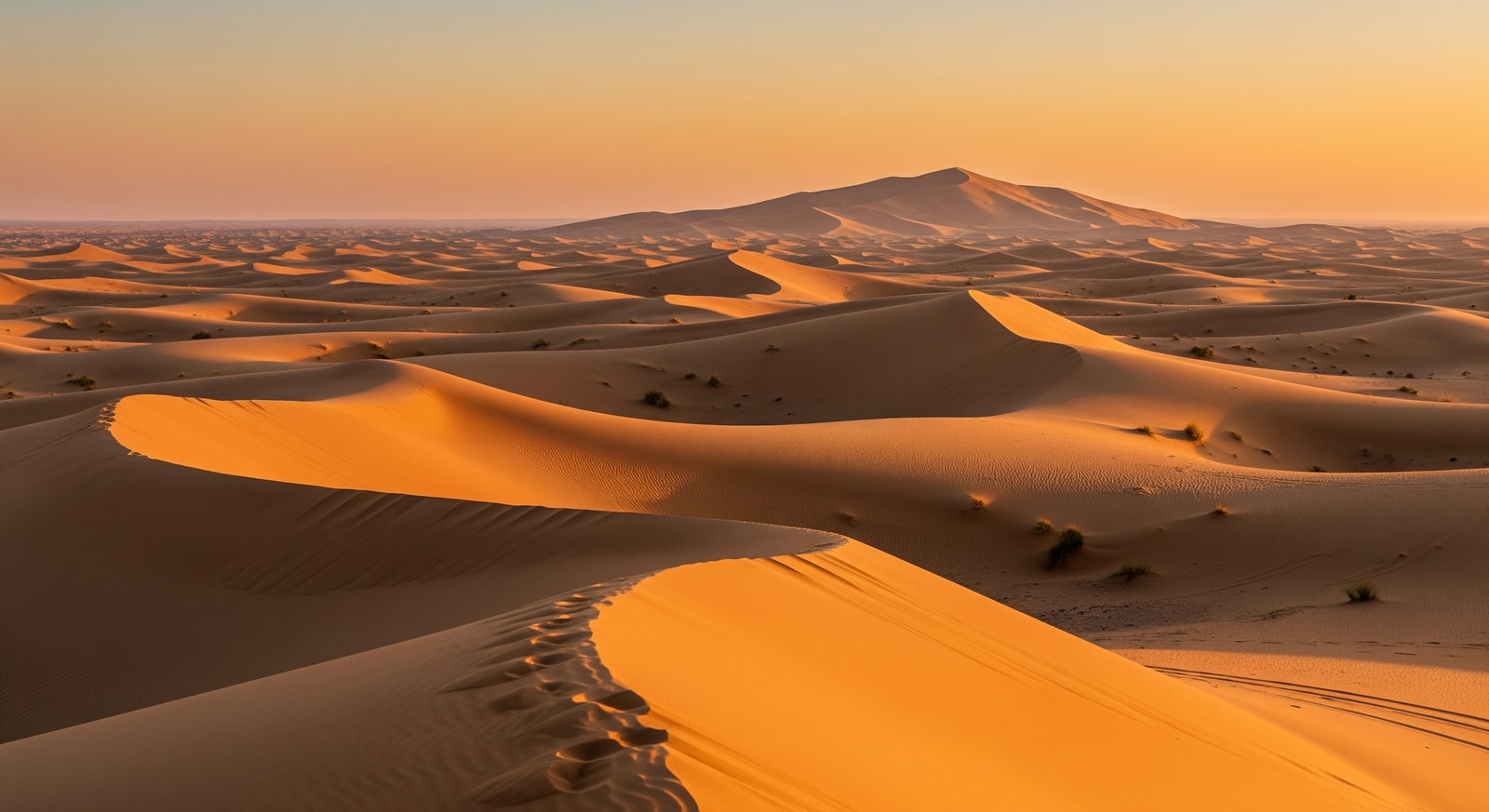 Saudi desert landscape at sunset with golden sand dunes stretching to horizon