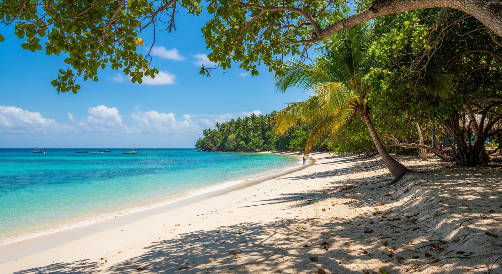 Pristine white sand beach with crystal clear turquoise waters on the coast of Equatorial Guinea