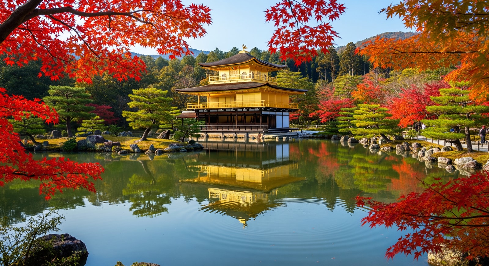 Ancient Kinkaku-ji Golden Pavilion temple reflected in mirror pond surrounded by Japanese maple trees in Kyoto