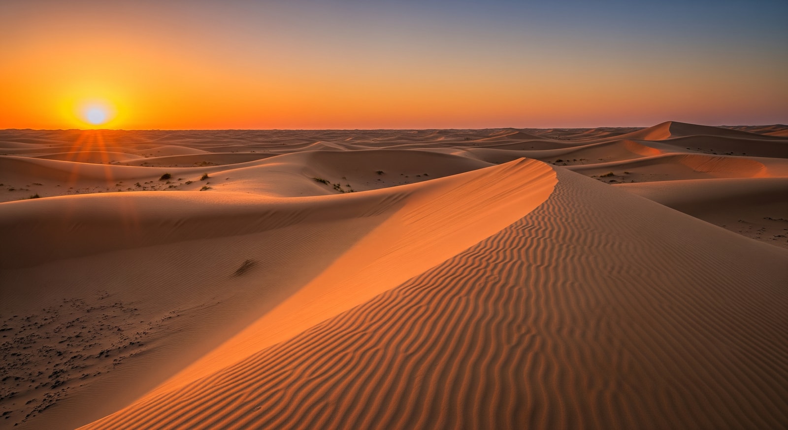 Golden sand dunes of the Libyan Sahara Desert stretching to the horizon at sunset