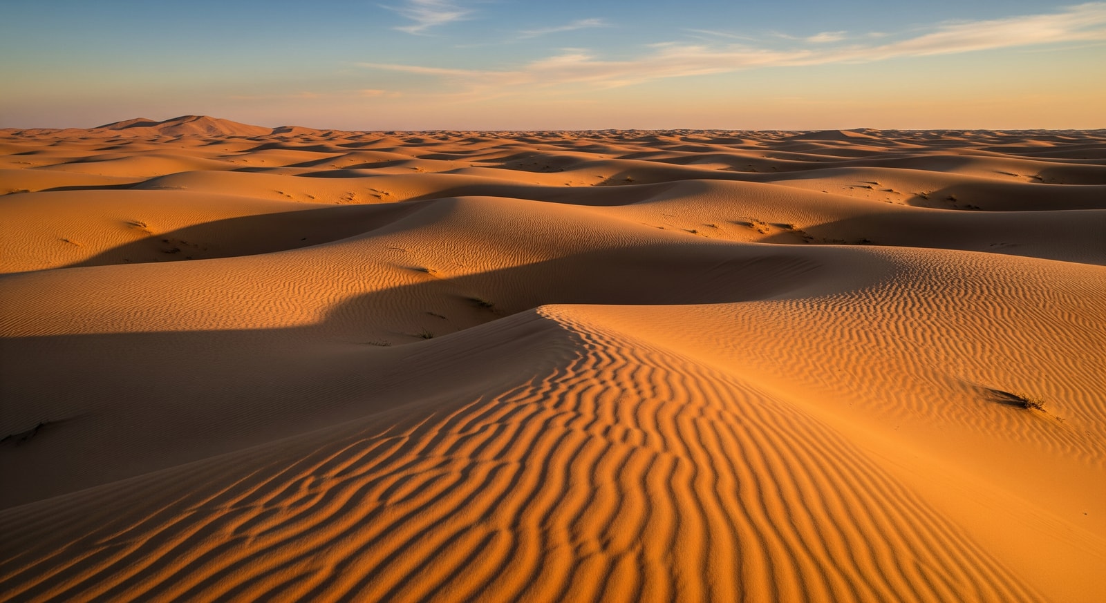Vast Nubian Desert landscape with golden sand dunes stretching to the horizon